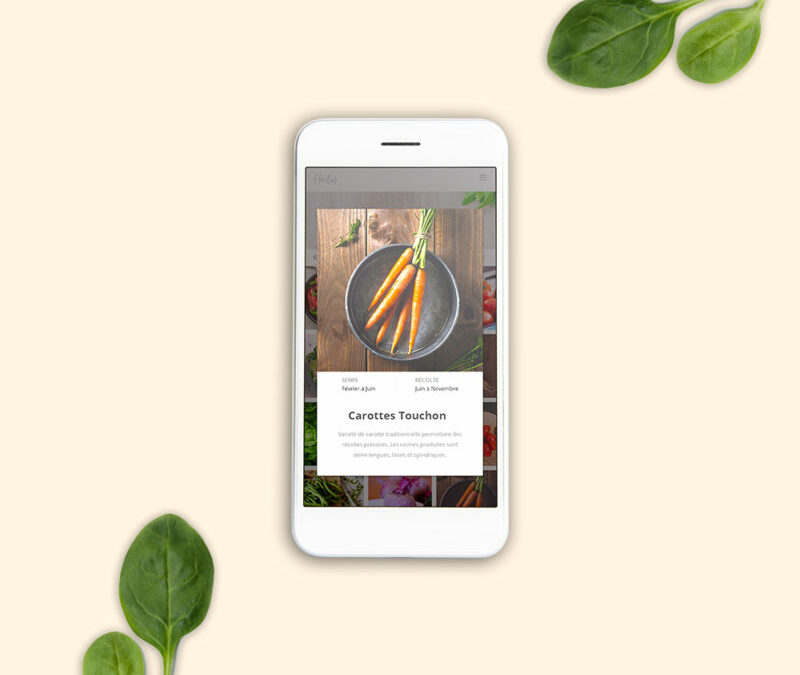 Projet personnel– Hortus App –